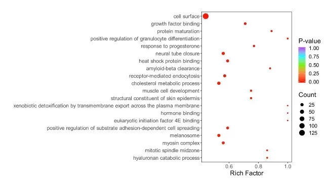 GO Enrichment Analysis Bubble Plot visualization results